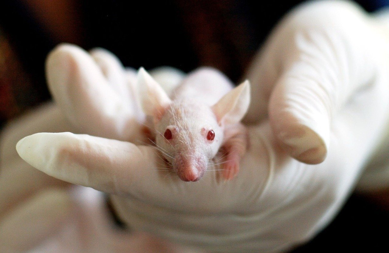 The Complete Beginner's Guide to Animal Research