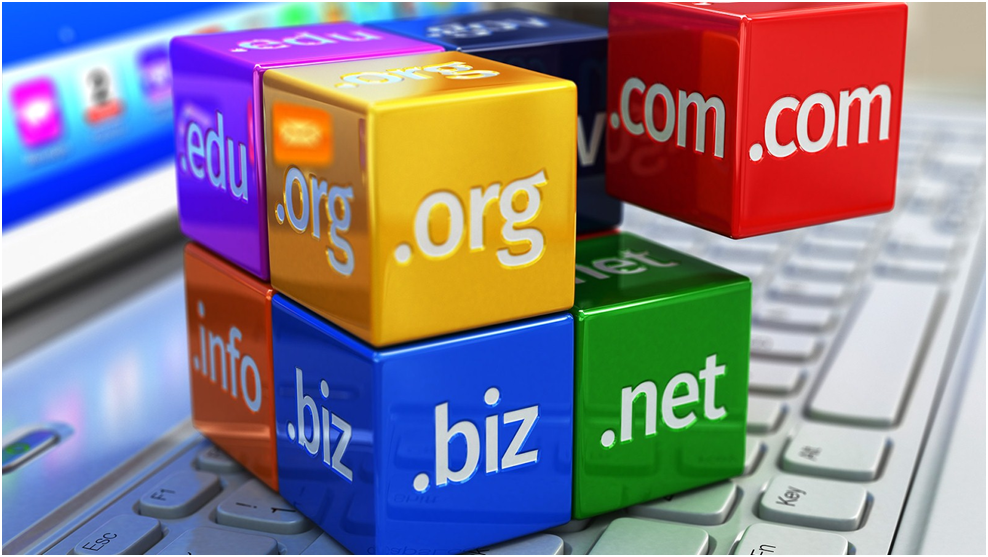 Choose a suitable domain for your online business website