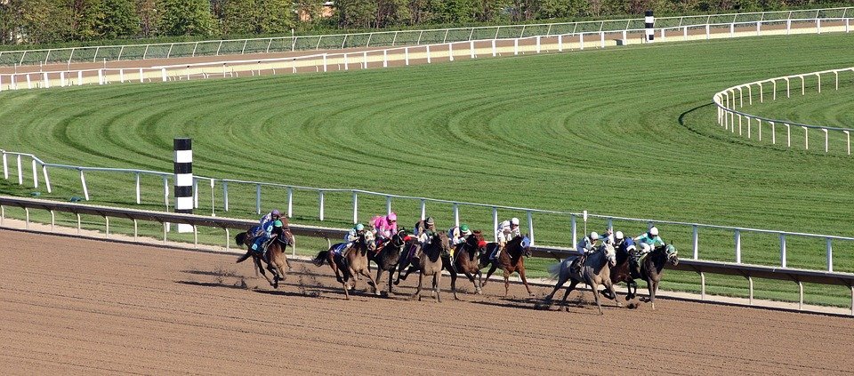 Horse Racing Sporting Events