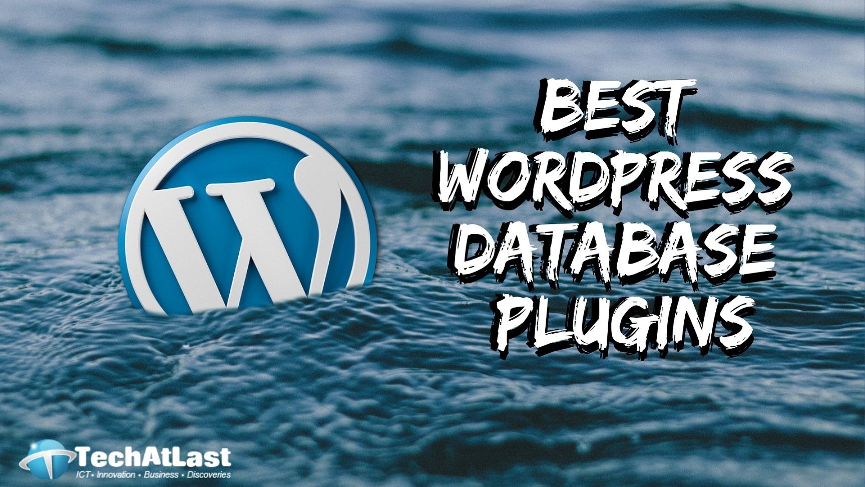 Best WordPress Database Plugins for Newbies and Experts - TechAtLast